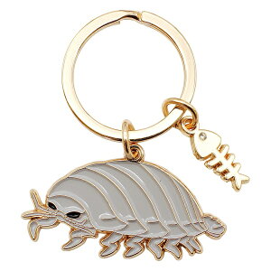 ANA`bN L[Oy_CIEO\NVzCm 킢 L[z_[