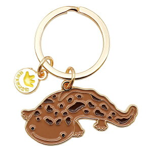 ANA`bN L[OyIITVEIzCm 킢 L[z_[