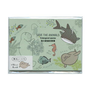 Shinzi Katoh/VWJgE Ŋ뜜 B7 m[gyC̐Ŋ뜜z