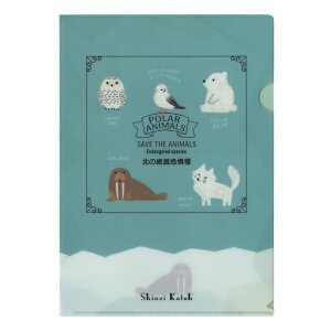 Shinzi Katoh/VWJgE Ŋ뜜 A4 NAt@Cyk̐Ŋ뜜z