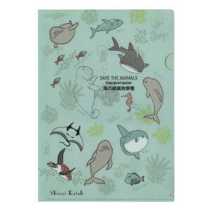 Shinzi Katoh/VWJgE Ŋ뜜 A4 NAt@CyC̐Ŋ뜜z