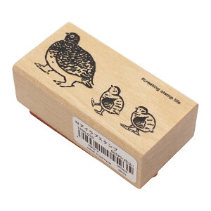 NACuX^v X^v S nRy()zfR 킢