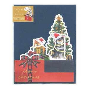 BOXJ[h ΂ʂƃNX}X yc[ƃv[gz킢