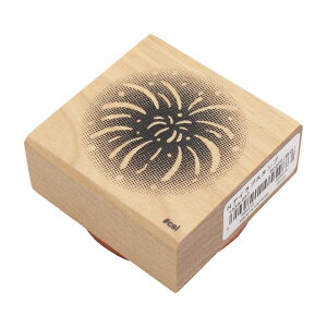 NACuX^v X^v S nRyԉ()zfR 킢