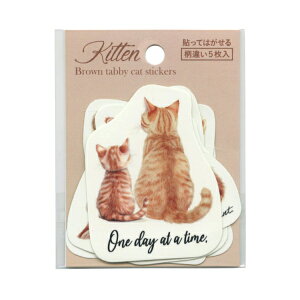 \Ĕ XebJ[Zbg ʃCXg 5y`gz 킢