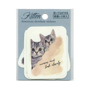 \Ĕ XebJ[Zbg ʃCXg 5yAVz 킢