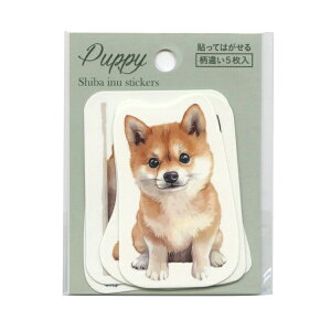 \Ĕ XebJ[Zbg ʃCXg 5yVoCkz 킢