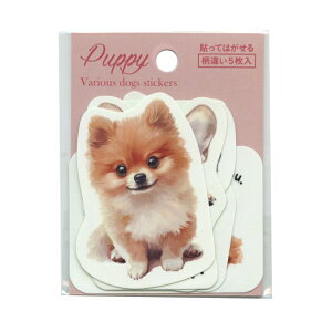 \Ĕ XebJ[Zbg ʃCXg 5yCk~bNXz 킢