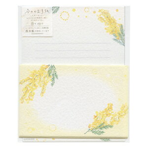 ̂莆 ^[Zbg Zayӂ~Uz