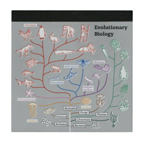 STUDY HOLIC pbhEXNGAyiwz