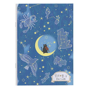 Shinzi Katoh/VWJgE {򌫎̋ A5m[gy߂̉́z