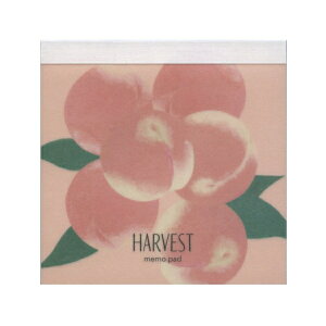 XNGA pbh 100yHarvest Peachz 킢