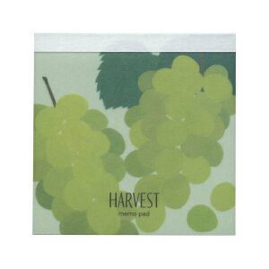 XNGA pbh 100yHarvest Muscatz 킢