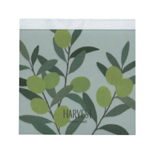 XNGA pbh 100yHarvest Olivez 킢