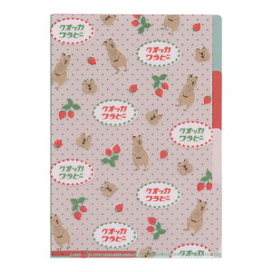 Aj}SݓX |PbgNAt@C A5TCY 󏭓yNIbJr[z