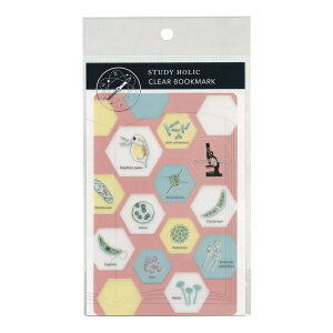 STUDY HOLIC NAubN}[N ywz