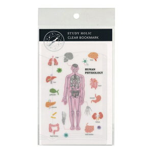 STUDY HOLIC NAubN}[N ylސwz