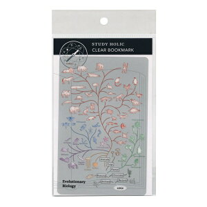 STUDY HOLIC NAubN}[N yiwz