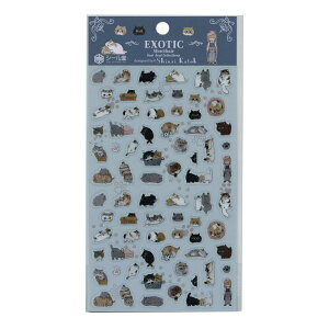 Shinzi Katoh/VWJgE V[gV[ RNVyexoticz