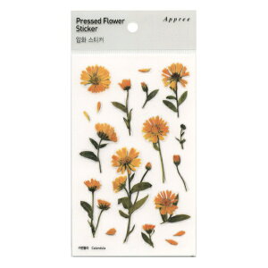 Pressed Flower Stickers /������ �X�e�b�J�[�y�J�����f�����z