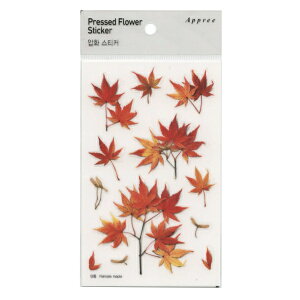 Pressed Flower Stickers / XebJ[ypCgCvz