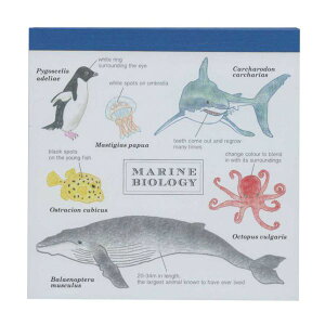 STUDY HOLIC pbhEXNGAyCmwz