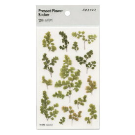 Pressed Flower Stickers /押し花 ステッカー【アジアンタム】