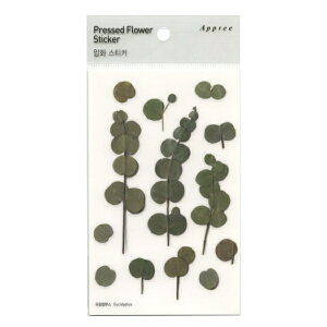 Pressed Flower Stickers /������ �X�e�b�J�[�y���[�J���v�^�X�z