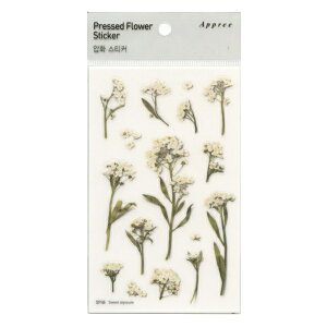 Pressed Flower Stickers /������ �X�e�b�J�[�y�X�C�[�g�A���b�T���z