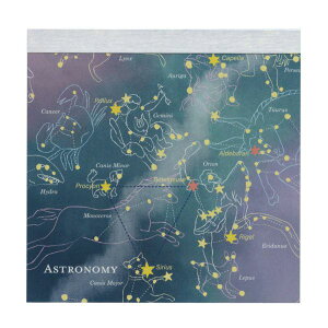 STUDY HOLIC pbhEXNGAyVw/IIz  킢