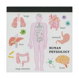 STUDY HOLIC pbhEXNGAylސwz  킢