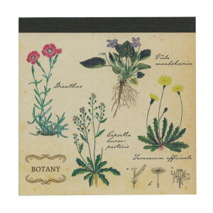 STUDY HOLIC pbhEXNGAyAwz  킢