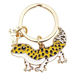 Aj} L[O yqEgJQz 킢 L[z_[