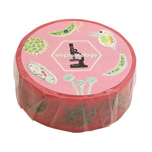 STUDY HOLIC }XLOe[vywz}Xe fR[V 킢