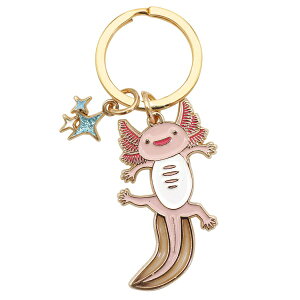 ANA`bN L[OyE[p[[p[zCm 킢 L[z_[