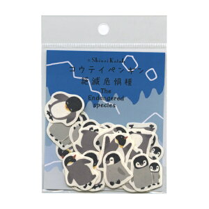 Shinzi Katoh oiiy[p[t[NV[ Ŋ뜜yREeCyMzSDGs