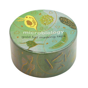 STUDY HOLIC }XLOe[vywz}Xe fR[V 킢