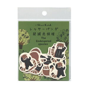 Shinzi Katoh oiiy[p[t[NV[ Ŋ뜜ybT[p_zSDGs