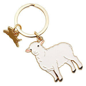 Aj} L[OyqcWz 킢 L[z_[