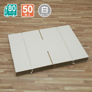 _{[ 80TCY 50 z z ʔ z [ 323X303X150()