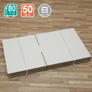 _{[ 80TCY 50 z z ʔ z [ 395X310X80()