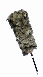 GXL[т΂ t@[XgNXtFU[ I[Xgb`т΂ 