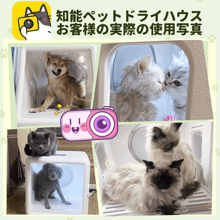 楽天市場】中古品 ☆30%OFFクーポン後17360円！ペット