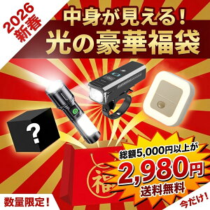 y2026Vt܁zgIz5000~ȏ2980~I̍4_Zbg PxLEDd ]ԃCg RZgZT[Cg {V[Nbg hЃObY d΍ USB[d h