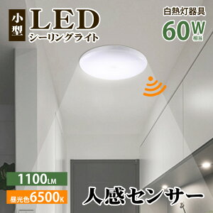 V[OCg ^ lZT[ LED Ɩ ` 1100lm F V _ ZT[Cg ԃCg ȒPt Hsv LED V[OCg Ki L  ʏ gC ȃGl 
