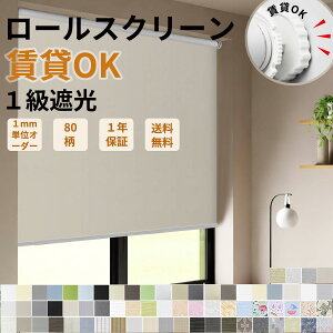 _r[T10OFFN[|3܂ŗp\^ς [XN[ [J[e 80F 1Ռ sv I[_[ J[e[ n UVJbg h fM 30`250cm/30`4