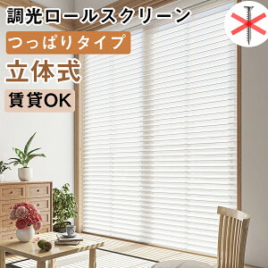 �y���I�ōő�100��P�o�b�N���撅8��25%OFF�N�[�|��+P7�{�zKEEGO ���ς蒲�����[���X�N���[�� ���̎� ���[���J�[�e�� �������s�v �T�C�Y�I�[�_�[ ��30�`250cm����280cm �Ռ� �ՔM UV�J�b�g �f�M ��