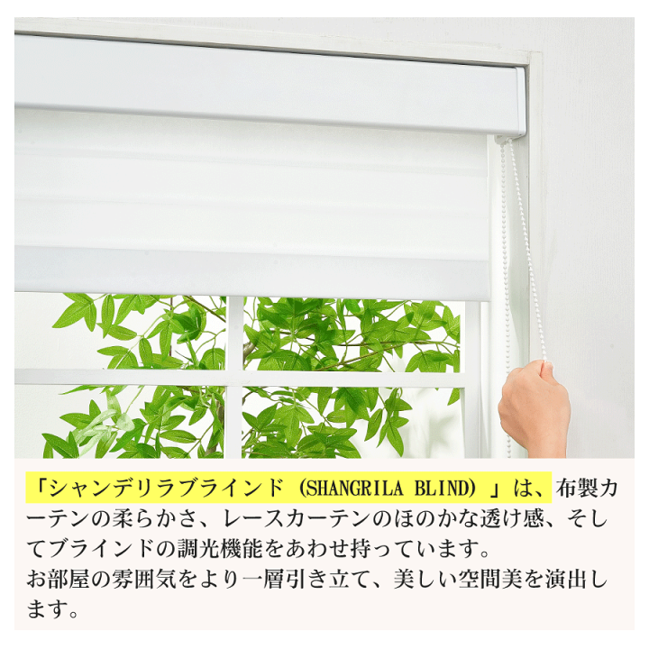 楽天市場】【SS☆20%OFFクーポン+P8倍】【抽選で最大100%バック
