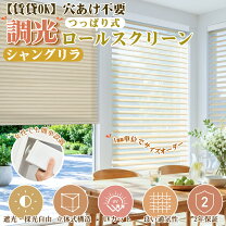楽天市場】ロールスクリーン 調光（幅（カーテン）150 ～ 199.9cm）の通販