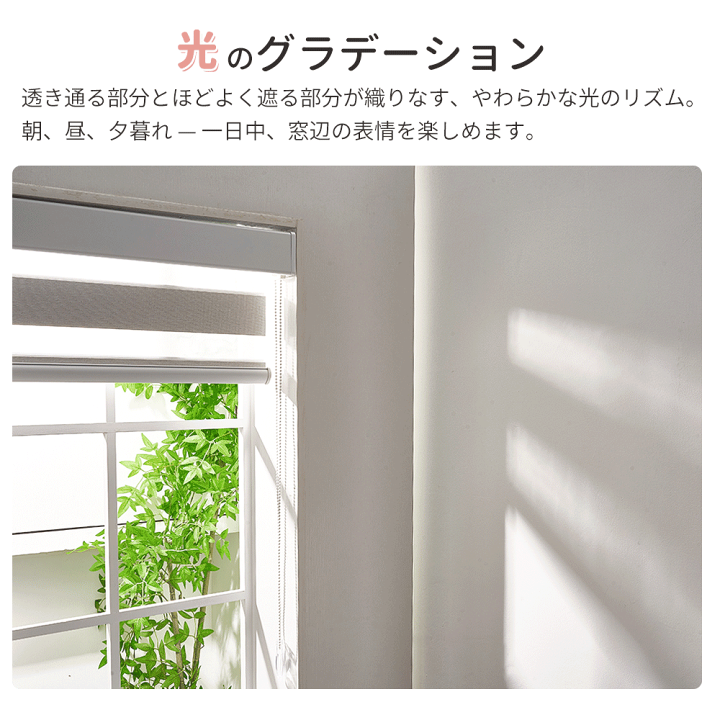 楽天市場】【マラソン☆先着8名様25%OFFクーポン+P5倍】KEEGO つっぱり